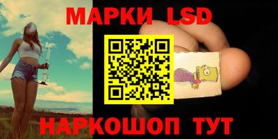 стафф Гай