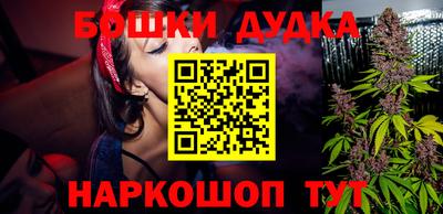 стафф Гай