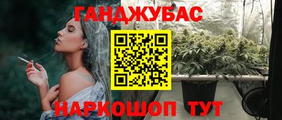 стафф Гай
