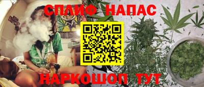 твердый Гатчина