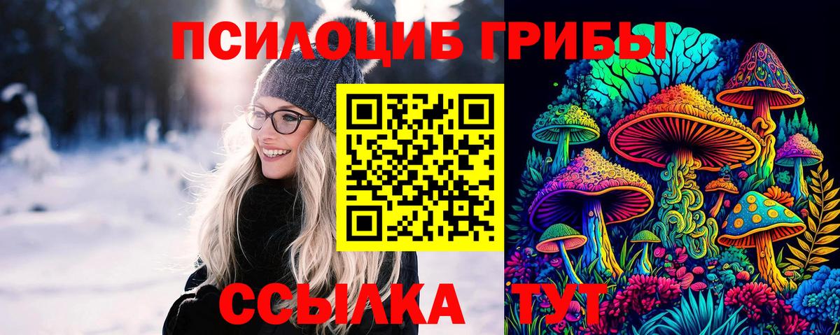 Острогожск  Галлюциногенные грибы MAGIC MUSHROOMS  Вход с VPN 