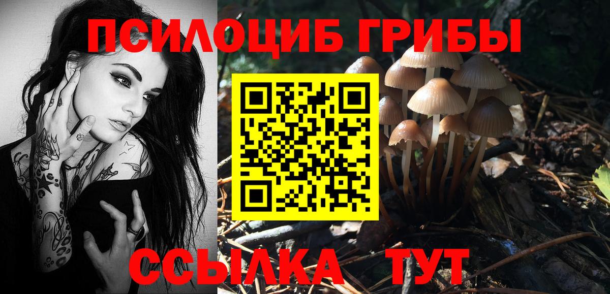 Псилоцибиновые грибы Psilocybine cubensis Острогожск